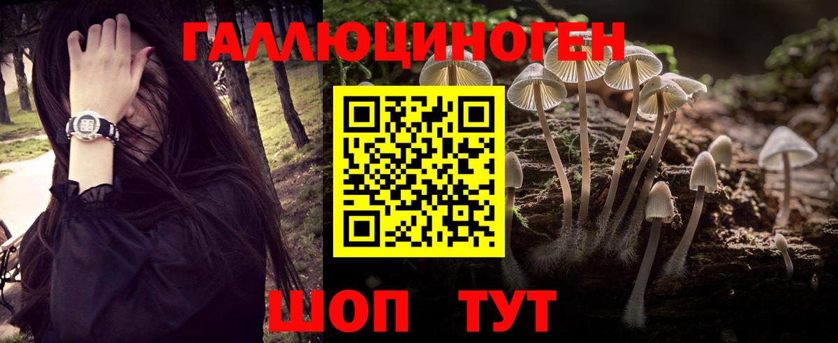 Псилоцибиновые грибы Magic Shrooms  Вход с VPN  Ишим  купить наркотики цена  Псилоцибиновые грибы Cubensis 